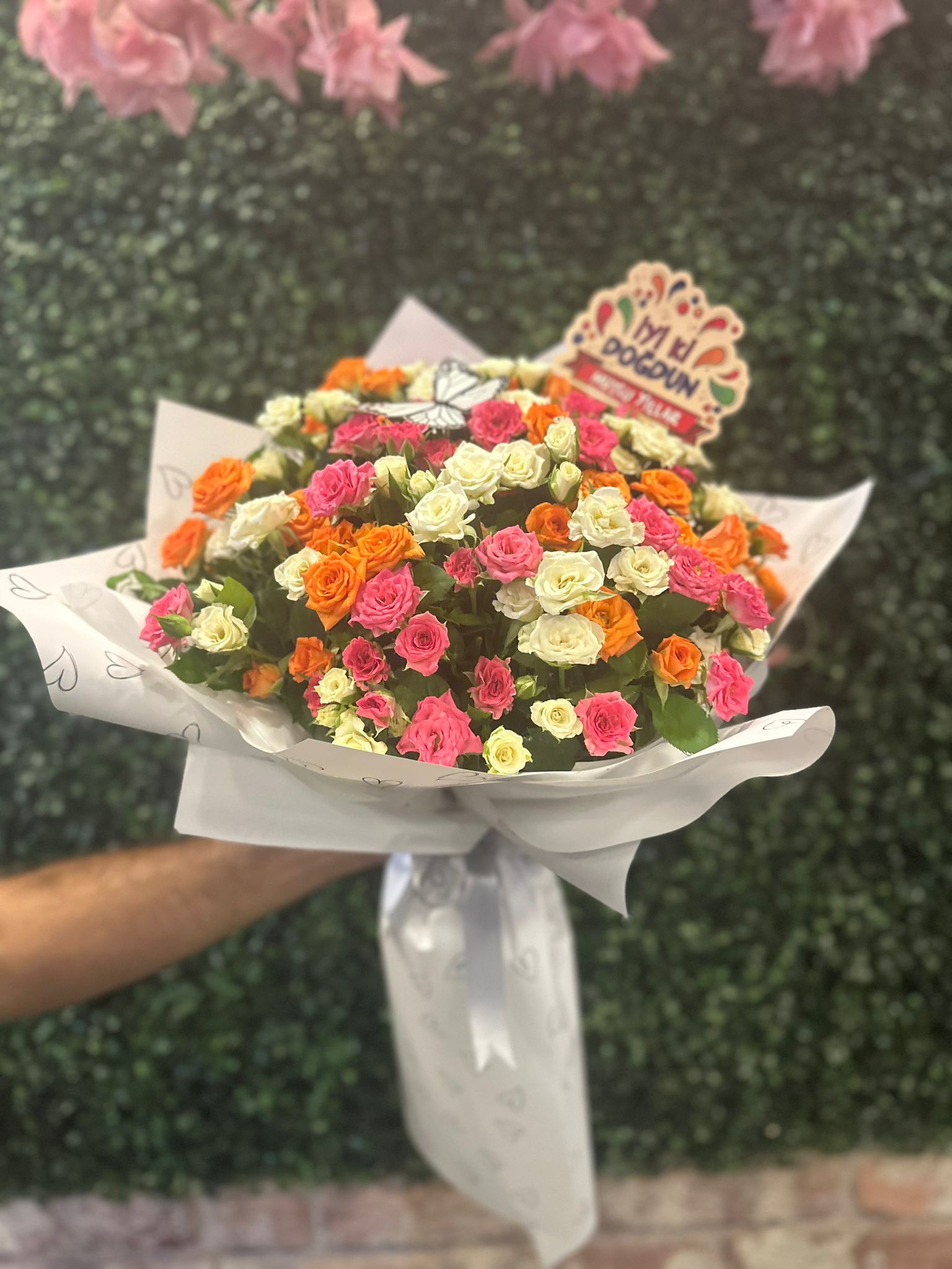 Renkli Çardak Gülleri