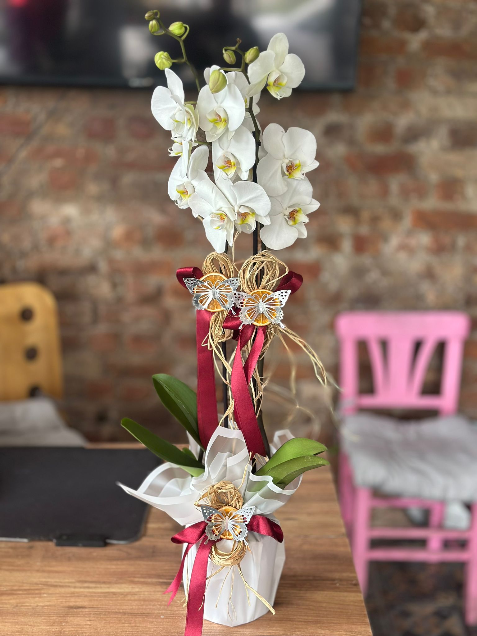 İthal Çift Dal Beyaz Orkide